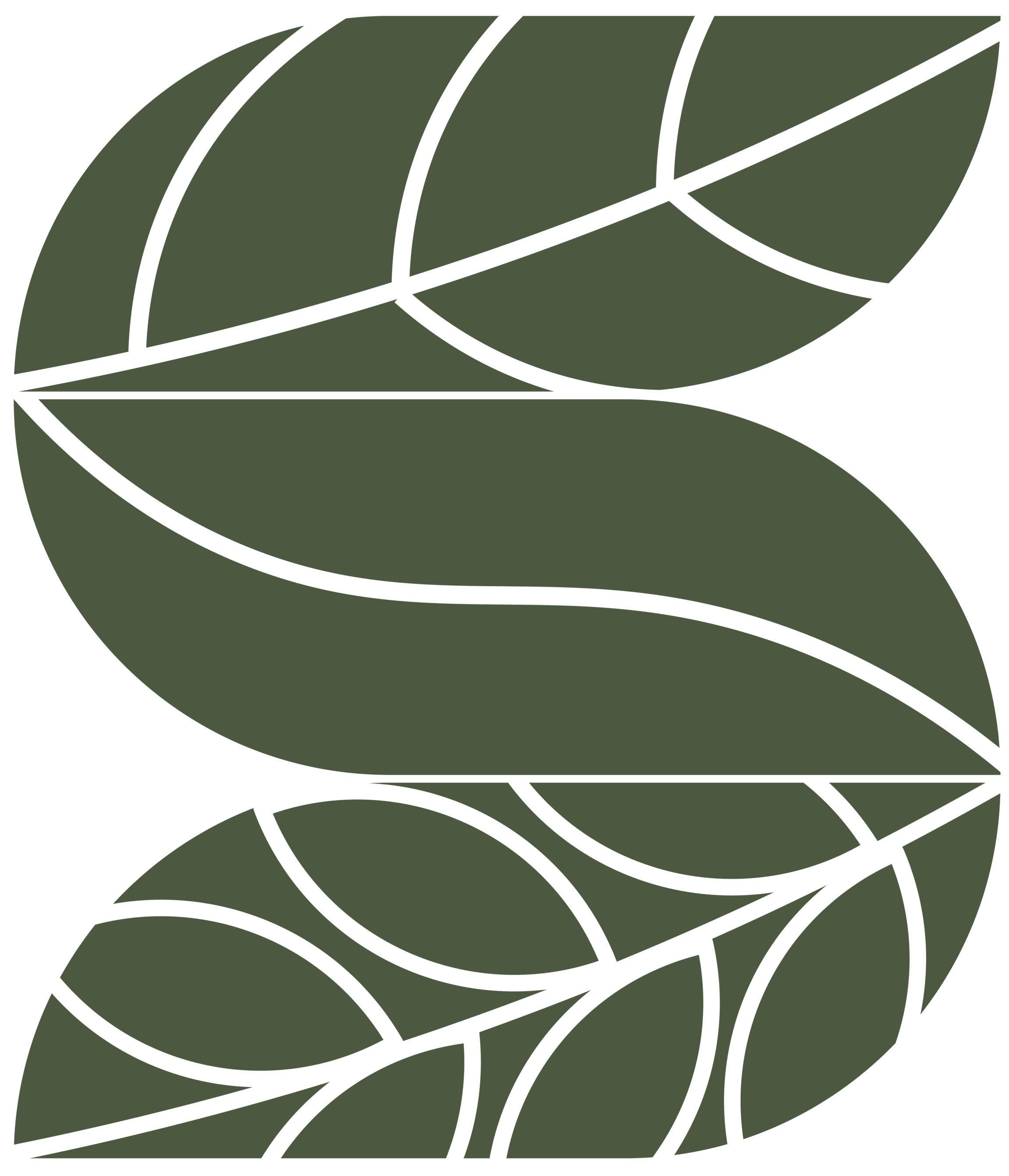 SALEA logo